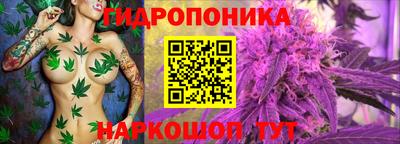 спиды Нарткала