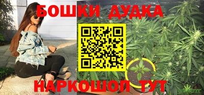 стафф Нальчик